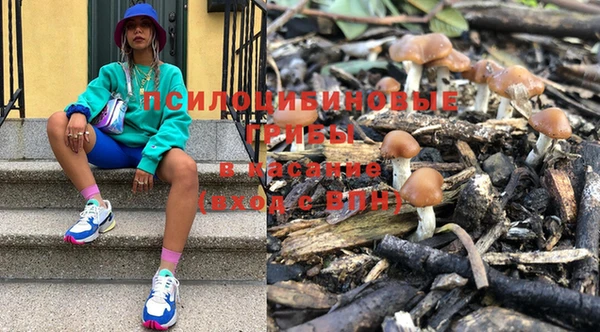гашик Балахна