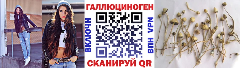Купить где  Кувандык  Псилоцибиновые грибы Magic Shrooms 